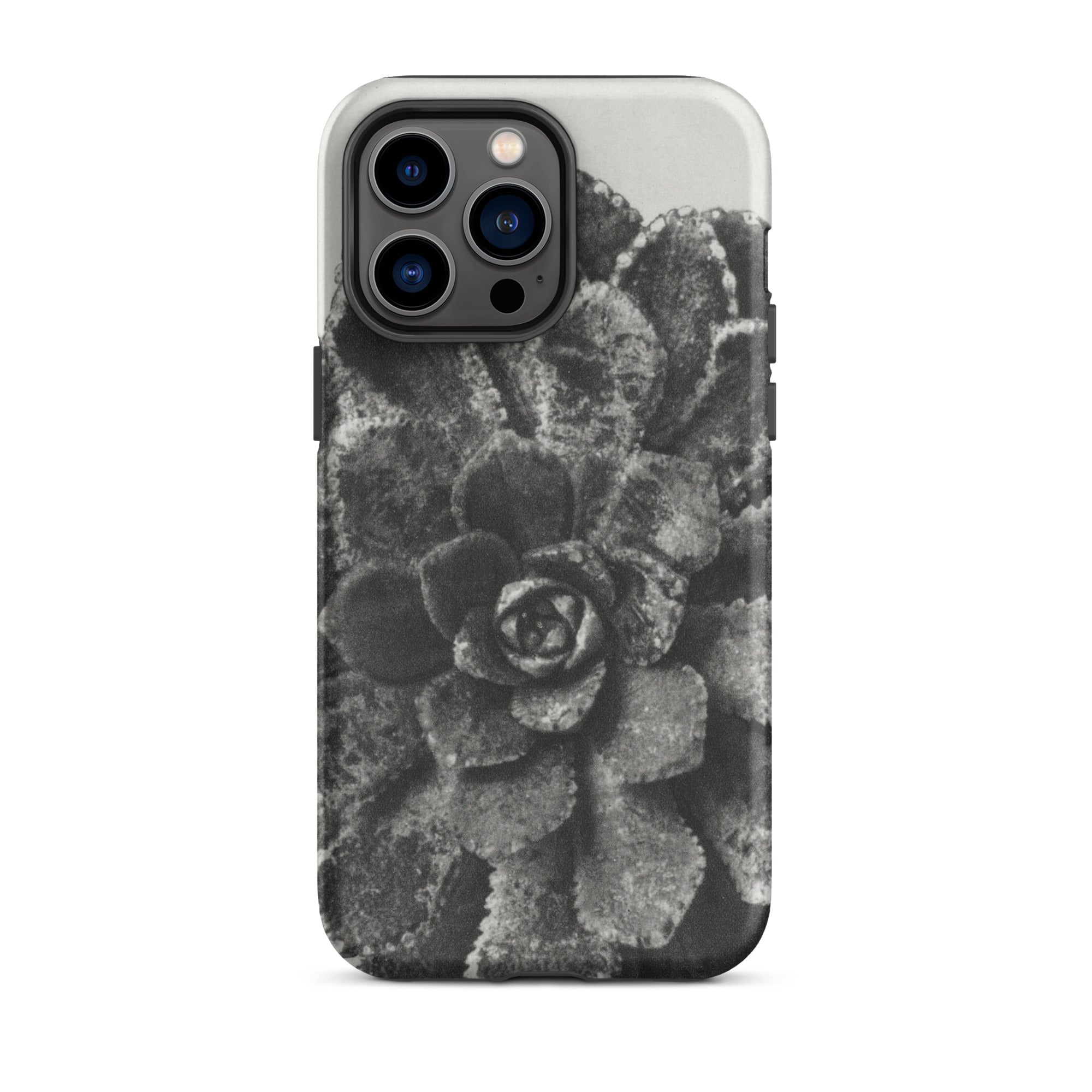 Pyramidal Saxifrage (saxifraga Aizoon) Karl Blossfeldt Iphone Case, 14 Pro Max / Matte, Black White Succulent Phone Case