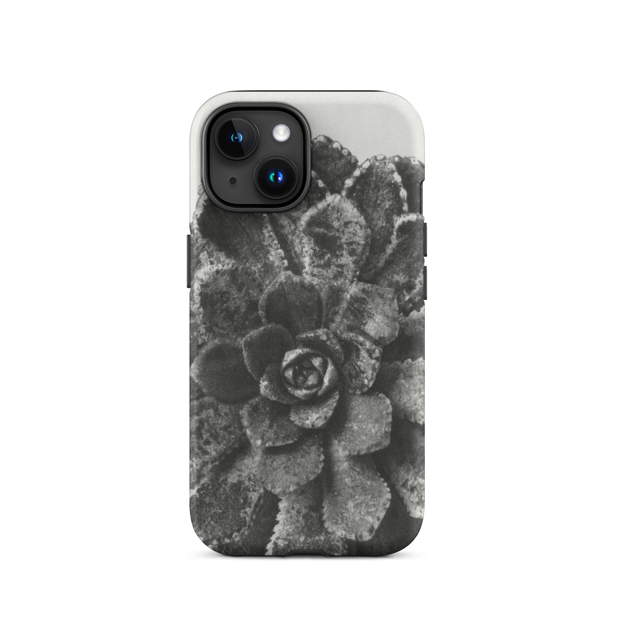 Pyramidal Saxifrage (saxifraga Aizoon) Karl Blossfeldt Iphone Case, 15 / Matte, Black White Succulent Phone Case