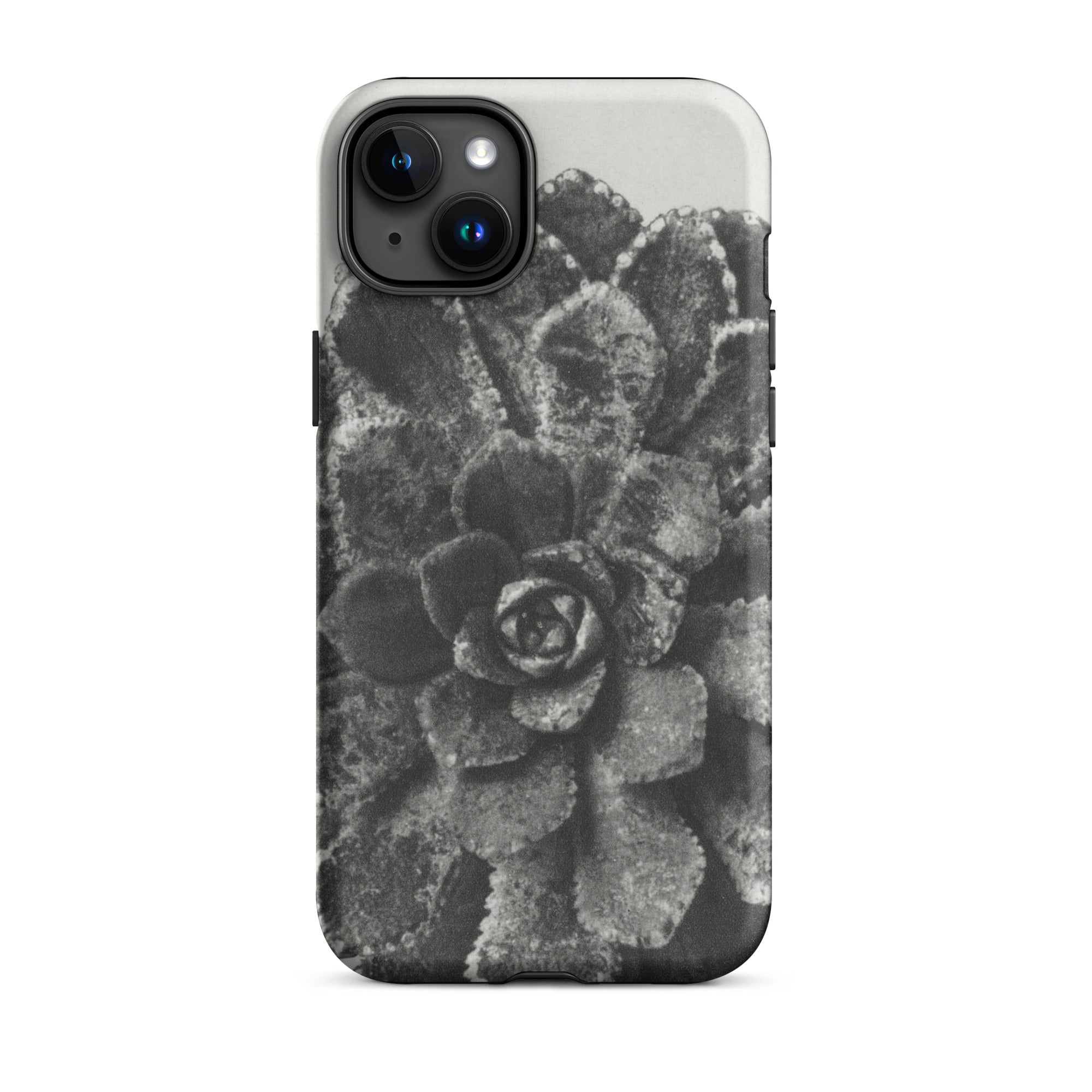 Pyramidal Saxifrage (saxifraga Aizoon) Karl Blossfeldt Iphone Case, 15 Plus / Matte, Succulent Patterned Phone Case
