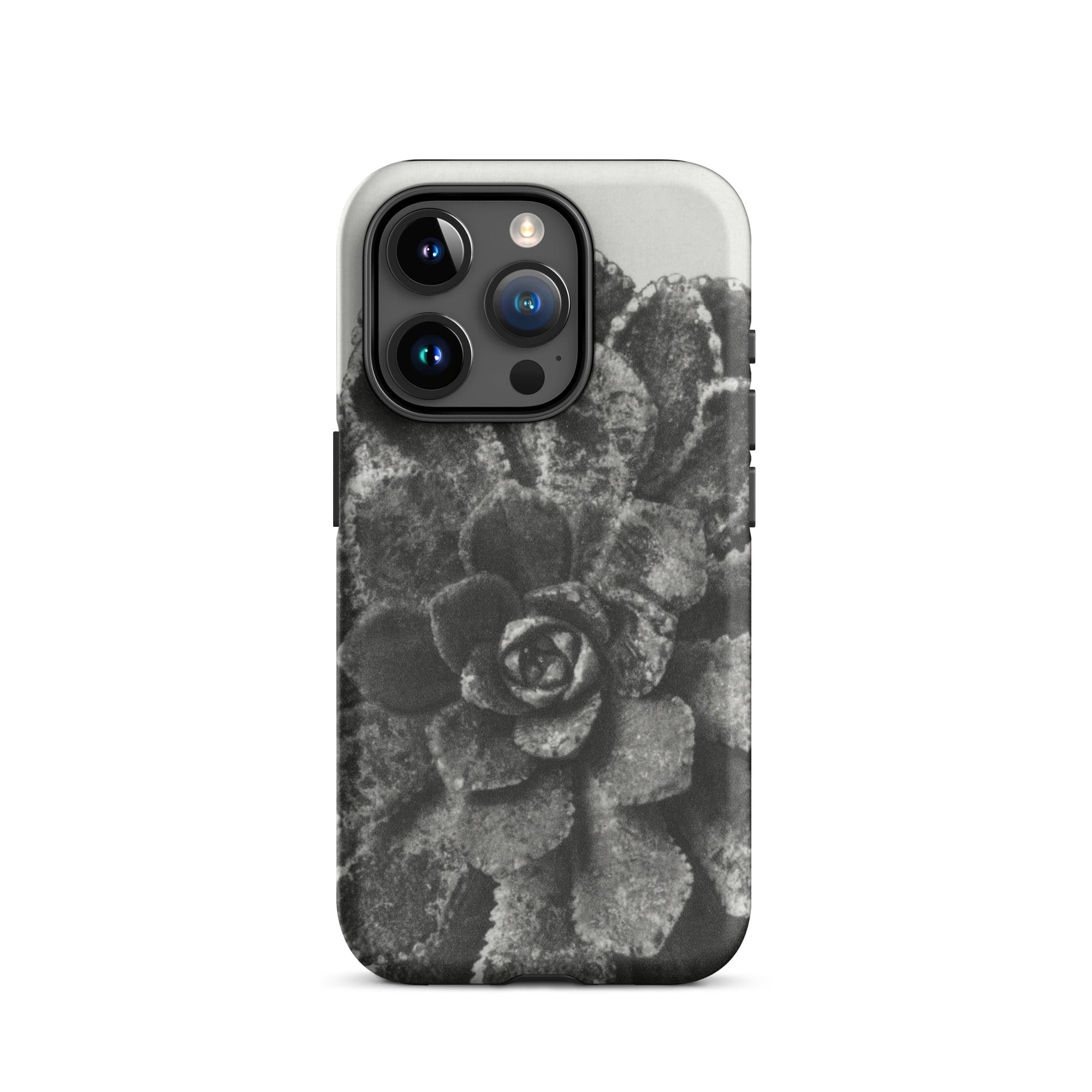 Pyramidal Saxifrage (saxifraga Aizoon) Karl Blossfeldt Iphone Case, 15 Pro / Matte, Succulent Patterned Phone Case