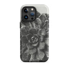 Pyramidal Saxifrage (saxifraga Aizoon) Karl Blossfeldt Iphone Case, 15 Pro Max / Matte, Black White Succulent Phone Case