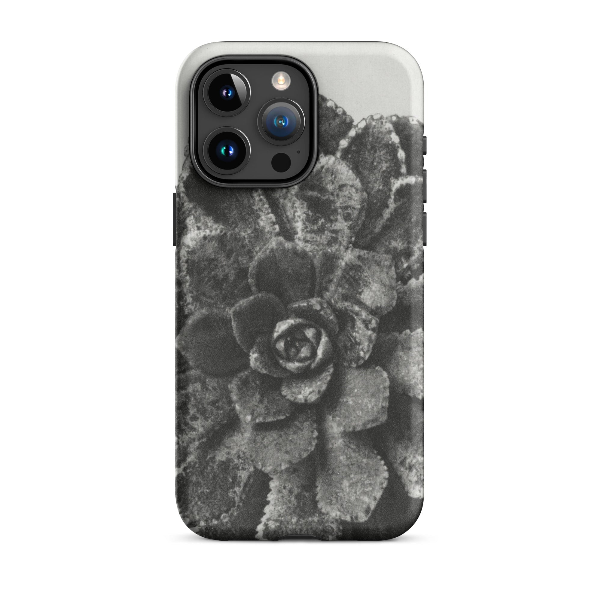 Pyramidal Saxifrage (saxifraga Aizoon) Karl Blossfeldt Iphone Case, 15 Pro Max / Matte, Black White Succulent Phone Case