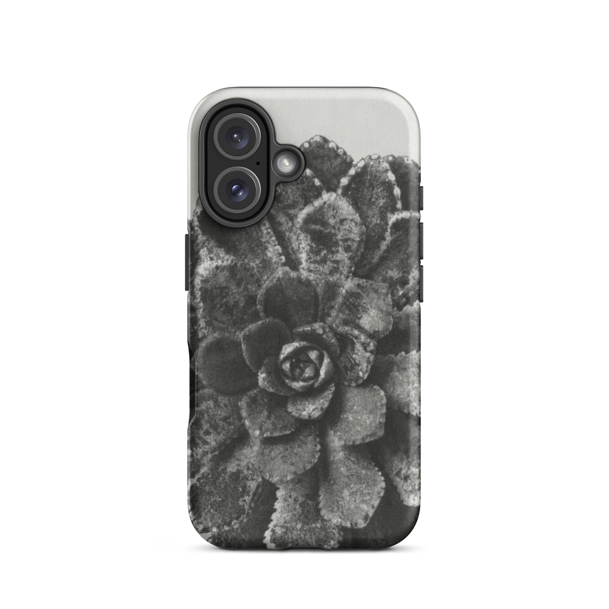 Pyramidal Saxifrage (saxifraga Aizoon) Karl Blossfeldt Iphone Case, 16 / Matte, Black White Succulent Phone Case