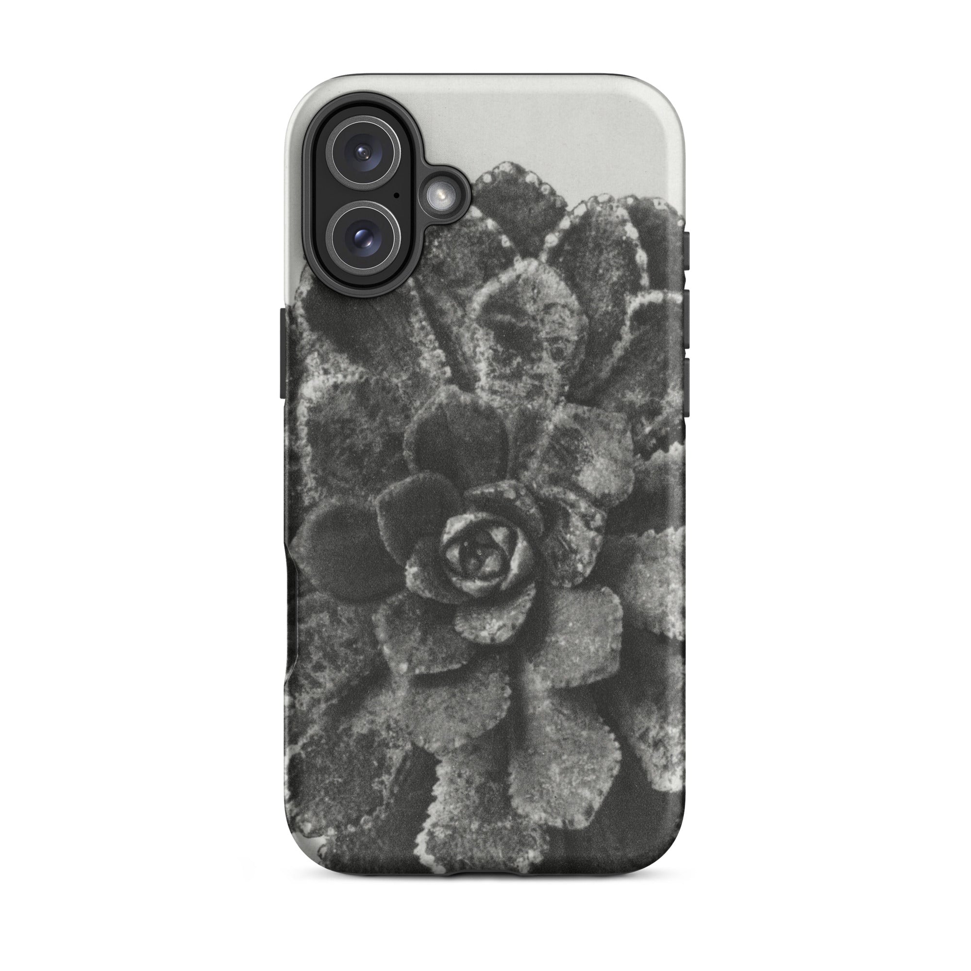 Pyramidal Saxifrage (saxifraga Aizoon) Karl Blossfeldt Iphone Case, 16 Plus / Matte, Succulent Patterned Phone Case