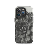 Pyramidal Saxifrage (saxifraga Aizoon) - Karl Blossfeldt Iphone Case, 16 Pro / Matte, Gray Succulent Phone Case