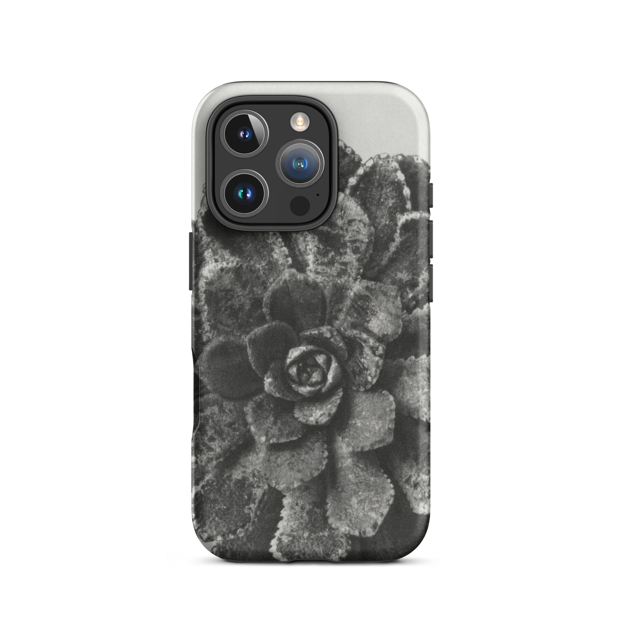 Pyramidal Saxifrage (saxifraga Aizoon) Karl Blossfeldt Iphone Case, 16 Pro / Matte, Gray Succulent Phone Case