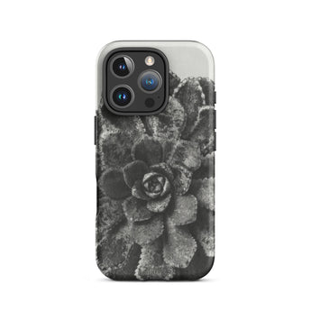 Pyramidal Saxifrage (saxifraga Aizoon) - Karl Blossfeldt Iphone Case, 16 Pro / Matte, Gray Succulent Phone Case