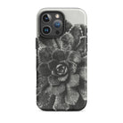 Pyramidal Saxifrage (saxifraga Aizoon) Karl Blossfeldt Iphone Case, 16 Pro Max / Matte, Black White Succulent Phone Case