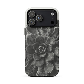 Pyramidal Saxifrage (saxifraga Aizoon) - Karl Blossfeldt Iphone Case, 17 Pro Max / Matte, Mobile Phone Cases, Toby Leon