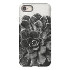 Pyramidal Saxifrage (saxifraga Aizoon) - Karl Blossfeldt Iphone Case, 8 / Matte, Succulent Plant Rosette-shaped Leaves Black White