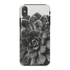 Pyramidal Saxifrage (saxifraga Aizoon) - Karl Blossfeldt Iphone Case Xs / Matte Mobile Phone Cases