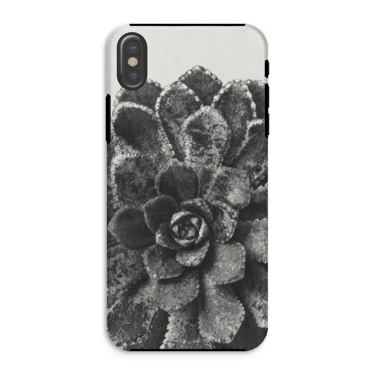 Pyramidal Saxifrage (saxifraga Aizoon) - Karl Blossfeldt Iphone Case - Xs / Matte