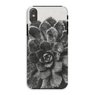 Pyramidal Saxifrage (saxifraga Aizoon) - Karl Blossfeldt Iphone Case - Xs / Matte