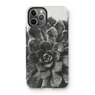 Pyramidal Saxifrage (saxifraga Aizoon) - Karl Blossfeldt Iphone Case 11 Pro / Matte Mobile Phone Cases