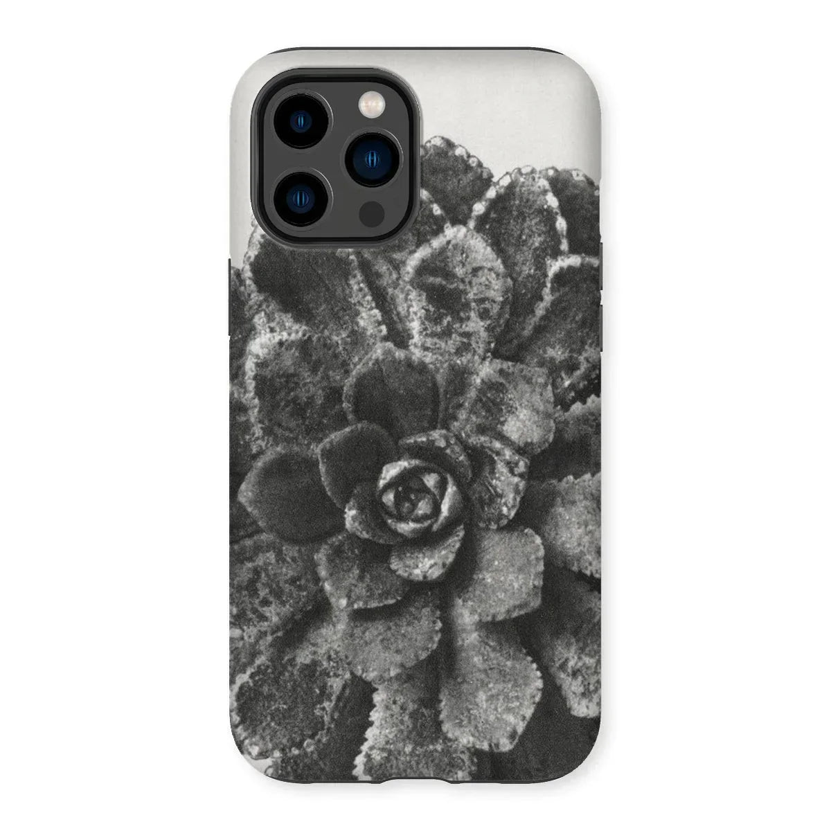 Pyramidal Saxifrage (saxifraga Aizoon) - Karl Blossfeldt Iphone Case - 14 Pro Max / Matte