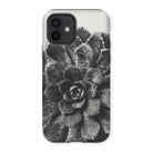 Pyramidal Saxifrage (saxifraga Aizoon) - Karl Blossfeldt Iphone Case - 12 / Matte