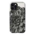 Pyramidal Saxifrage (saxifraga Aizoon) - Karl Blossfeldt Iphone Case - 13 Pro Max / Matte