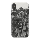 Pyramidal Saxifrage (saxifraga Aizoon) - Karl Blossfeldt Iphone Case x / Matte Mobile Phone Cases