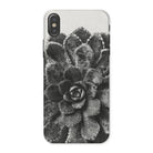 Pyramidal Saxifrage (saxifraga Aizoon) - Karl Blossfeldt Iphone Case - x / Matte