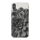 Pyramidal Saxifrage (saxifraga Aizoon) Karl Blossfeldt Iphone Case, x / Matte, Succulent Plant Rosette Shaped Leaves Black White