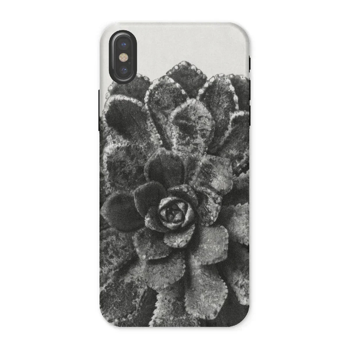 Pyramidal Saxifrage (saxifraga Aizoon) - Karl Blossfeldt Iphone Case, x / Matte, Succulent Plant Rosette-shaped Leaves Black White