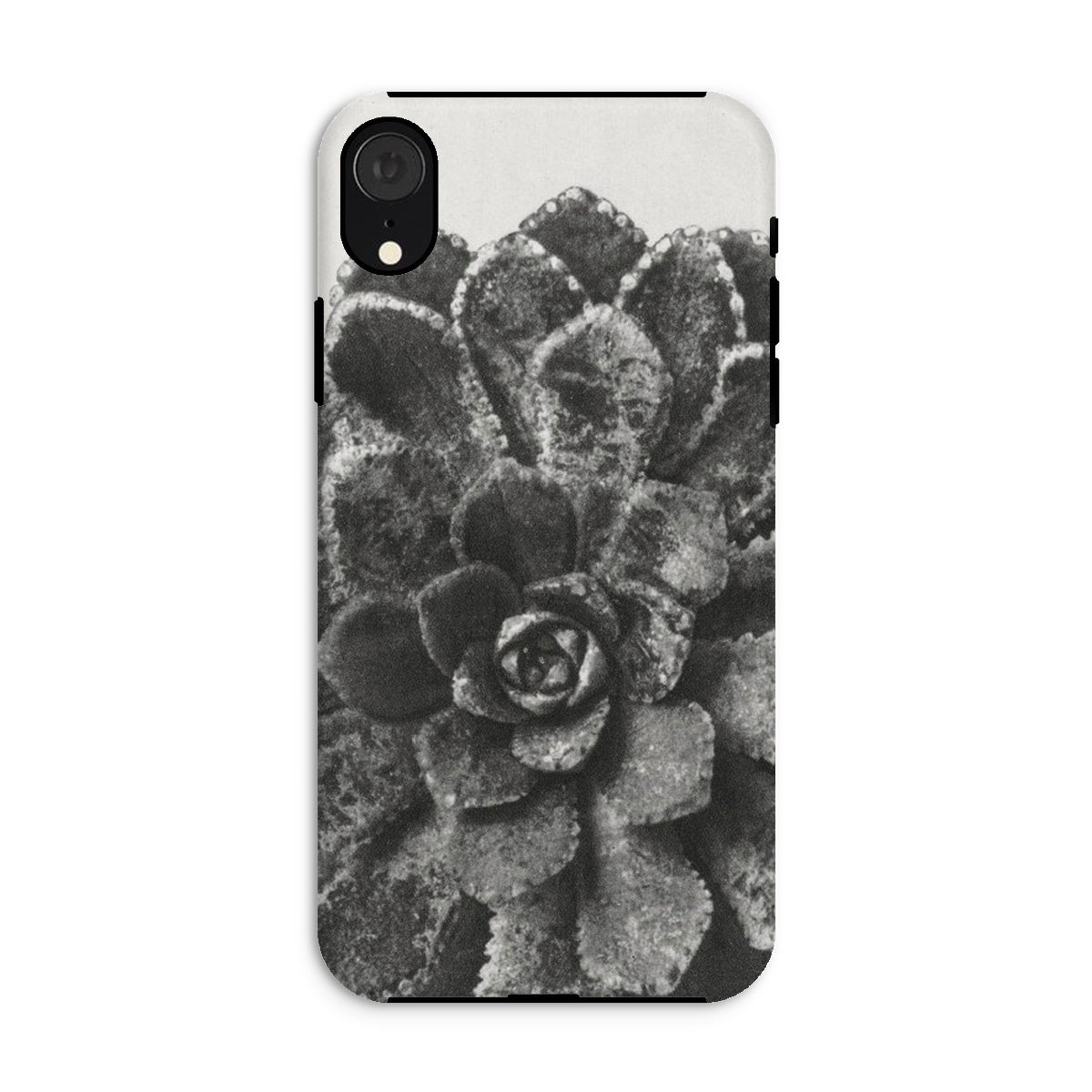 Pyramidal Saxifrage (saxifraga Aizoon) Karl Blossfeldt Iphone Case, Xr / Matte, Phone Case Black White Close Up Photograph Succulent Plant