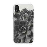 Pyramidal Saxifrage (saxifraga Aizoon) - Karl Blossfeldt Iphone Case, Xr / Matte, Phone Case Black White Close-up Photograph Succulent Plant