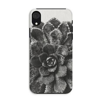 Pyramidal Saxifrage (saxifraga Aizoon) - Karl Blossfeldt Iphone Case, Xr / Matte, Phone Case Black White Close-up Photograph Succulent Plant