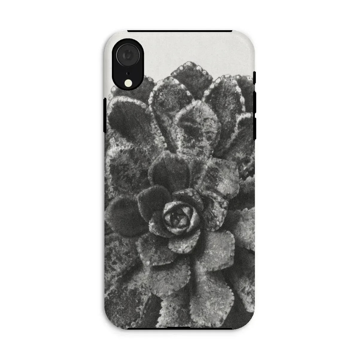 Pyramidal Saxifrage (saxifraga Aizoon) - Karl Blossfeldt Iphone Case, Xr / Matte, Phone Case Black White Close-up Photograph Succulent Plant