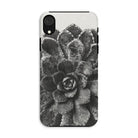 Pyramidal Saxifrage (saxifraga Aizoon) - Karl Blossfeldt Iphone Case, Xr / Matte, Phone Case Black White Close-up Photograph Succulent Plant