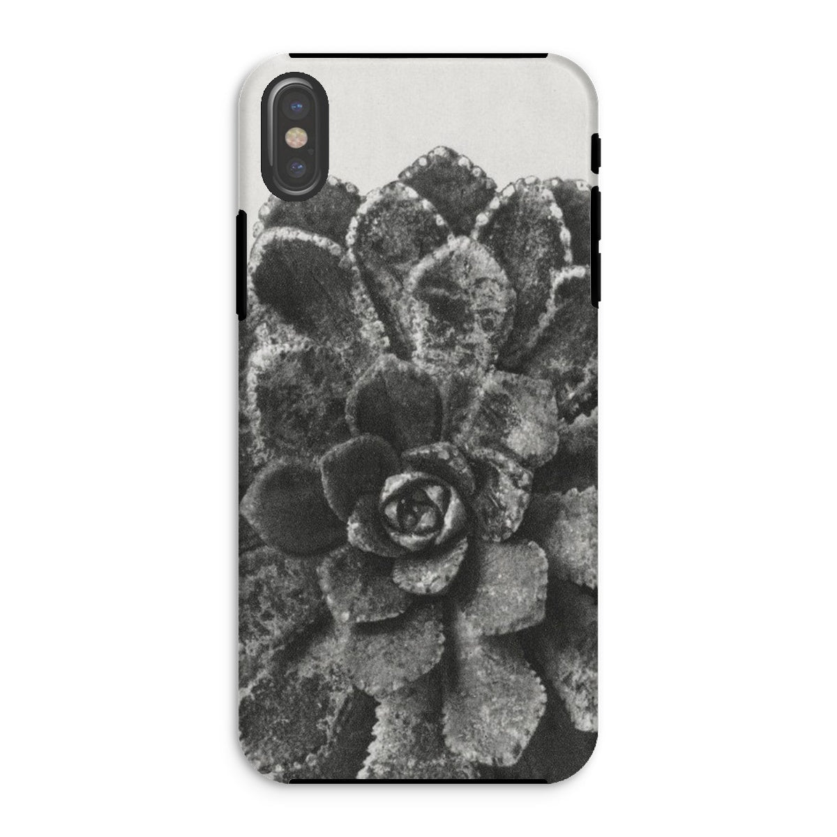 Pyramidal Saxifrage (saxifraga Aizoon) Karl Blossfeldt Iphone Case, Xs / Matte, Black White Photograph Succulent Plant Phone Case