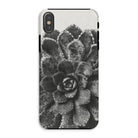 Pyramidal Saxifrage (saxifraga Aizoon) Karl Blossfeldt Iphone Case, Xs / Matte, Black White Photograph Succulent Plant Phone Case