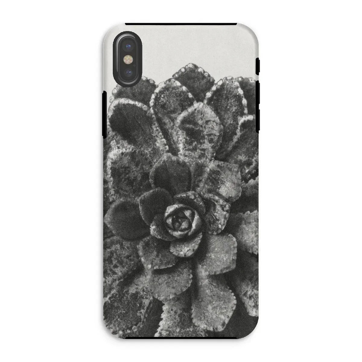 Pyramidal Saxifrage (saxifraga Aizoon) - Karl Blossfeldt Iphone Case, Xs / Matte, Black White Photograph Succulent Plant Phone Case