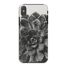 Pyramidal Saxifrage (saxifraga Aizoon) - Karl Blossfeldt Iphone Case, Xs / Matte, Black White Photograph Succulent Plant Phone Case