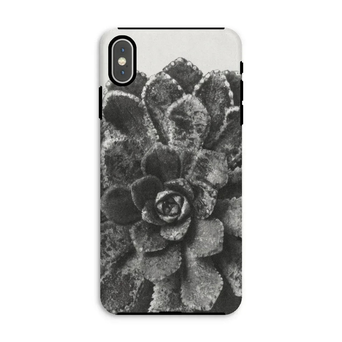 Pyramidal Saxifrage (saxifraga Aizoon) - Karl Blossfeldt Iphone Case, Xs Max / Matte, Phone Case Black White Photograph Succulent Plant
