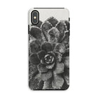 Pyramidal Saxifrage (saxifraga Aizoon) - Karl Blossfeldt Iphone Case, Xs Max / Matte, Phone Case Black White Photograph Succulent Plant