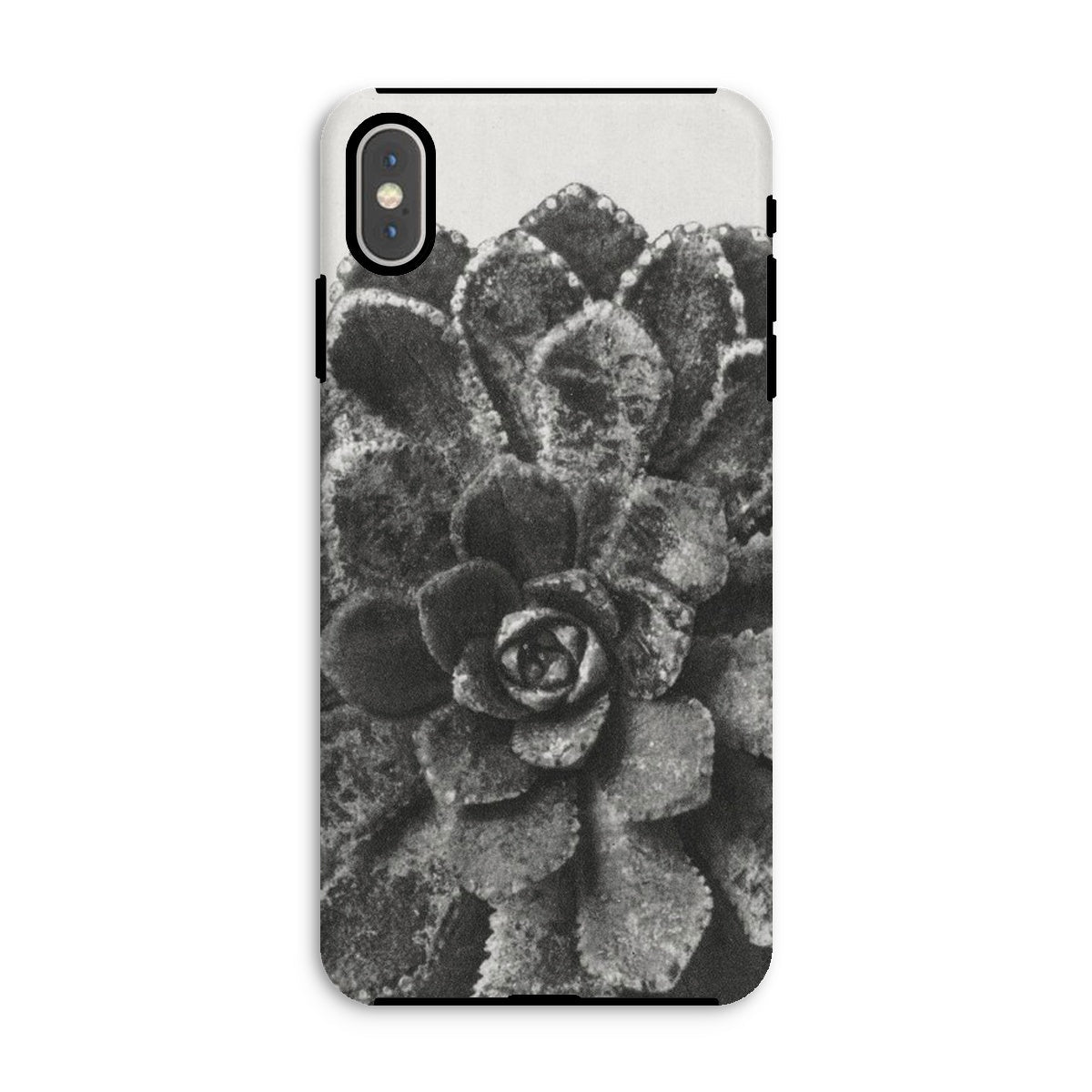 Pyramidal Saxifrage (saxifraga Aizoon) Karl Blossfeldt Iphone Case, Xs Max / Matte, Phone Case Black White Photograph Succulent Plant