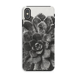 Pyramidal Saxifrage (saxifraga Aizoon) - Karl Blossfeldt Iphone Case, Xs Max / Matte, Phone Case Black White Photograph Succulent Plant