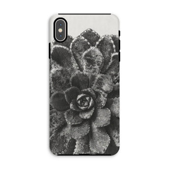 Pyramidal Saxifrage (saxifraga Aizoon) - Karl Blossfeldt Iphone Case, Xs Max / Matte, Phone Case Black White Photograph Succulent Plant