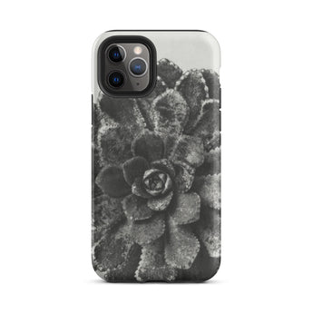 Pyramidal Saxifrage (saxifraga Aizoon) - Karl Blossfeldt Phone Case Iphone 11 Pro / Matte Black White Succulent Phone Case Karl Blossfeldt,