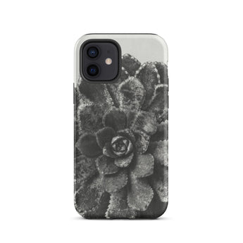 Pyramidal Saxifrage (saxifraga Aizoon) - Karl Blossfeldt Phone Case Iphone 12 / Matte Black White Succulent Phone Case Karl Blossfeldt,