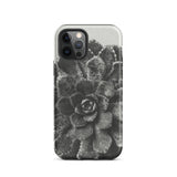 Pyramidal Saxifrage (saxifraga Aizoon) - Karl Blossfeldt Phone Case Iphone 12 Pro / Matte Black White Succulent Phone Case Karl Blossfeldt,