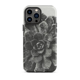 Pyramidal Saxifrage (saxifraga Aizoon) - Karl Blossfeldt Phone Case Iphone 13 Pro Max / Matte Black White Succulent Phone Case Karl