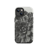 Pyramidal Saxifrage (saxifraga Aizoon) - Karl Blossfeldt Phone Case Iphone 14 / Matte Black White Succulent Phone Case Karl Blossfeldt,