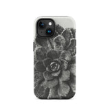 Pyramidal Saxifrage (saxifraga Aizoon) - Karl Blossfeldt Phone Case Iphone 15 / Matte Black White Succulent Phone Case Karl Blossfeldt,