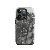 Pyramidal Saxifrage (saxifraga Aizoon) - Karl Blossfeldt Phone Case Iphone 15 Pro / Matte Succulent-patterned Phone Case Karl Blossfeldt,