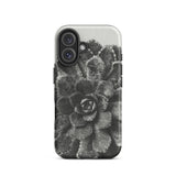 Pyramidal Saxifrage (saxifraga Aizoon) - Karl Blossfeldt Phone Case Iphone 16 / Matte Black White Succulent Phone Case Karl Blossfeldt,