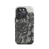 Pyramidal Saxifrage (saxifraga Aizoon) - Karl Blossfeldt Phone Case Iphone 16 Pro / Matte Gray Succulent Phone Case Karl Blossfeldt,