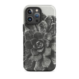 Pyramidal Saxifrage (saxifraga Aizoon) - Karl Blossfeldt Phone Case Iphone 16 Pro Max / Matte Black White Succulent Phone Case Karl