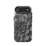Pyramidal Saxifrage (saxifraga Aizoon) - Karl Blossfeldt Phone Case Iphone 17 Air / Matte Black Succulent Phone Case Textured Design